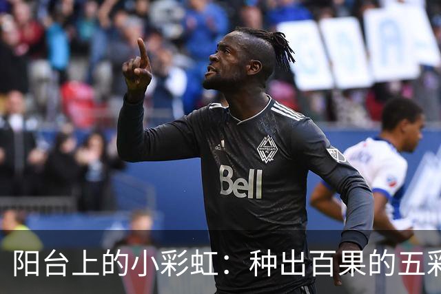 阳台上的小彩虹：种出百果的五彩椒